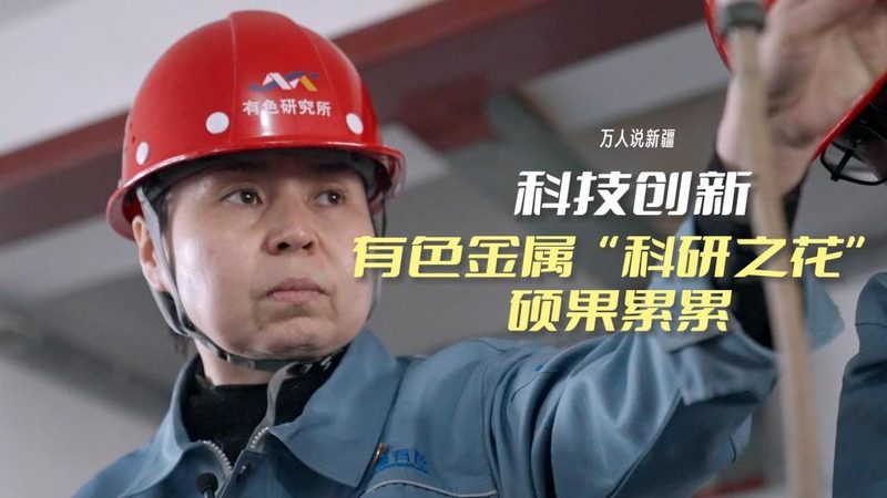 网络安全审计系统：价格背后的考量因素**